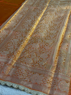 Patch Work Tissue Silk Saree Ts33