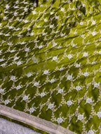 Elegant Pista Green Mashru Kataan Silk Saree with Silver Zari Meenakari Jaal Weaving MKS683