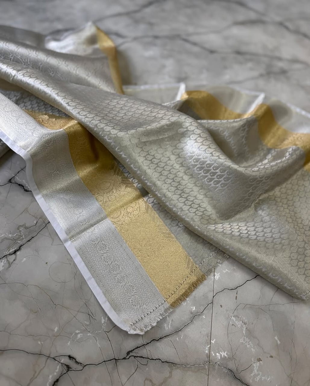 Silver Tissue Silk Saree TS111