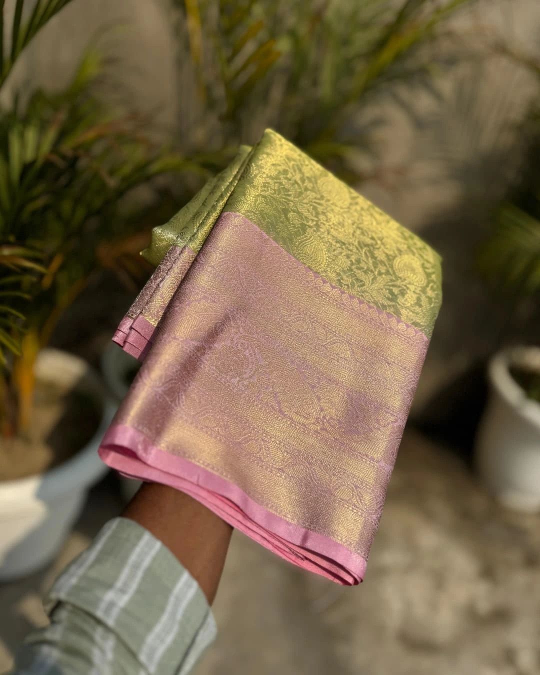 Kanchi Tissue Silk Saree TS106