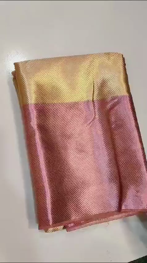 Kanchi Tissue Silk Saree TS102